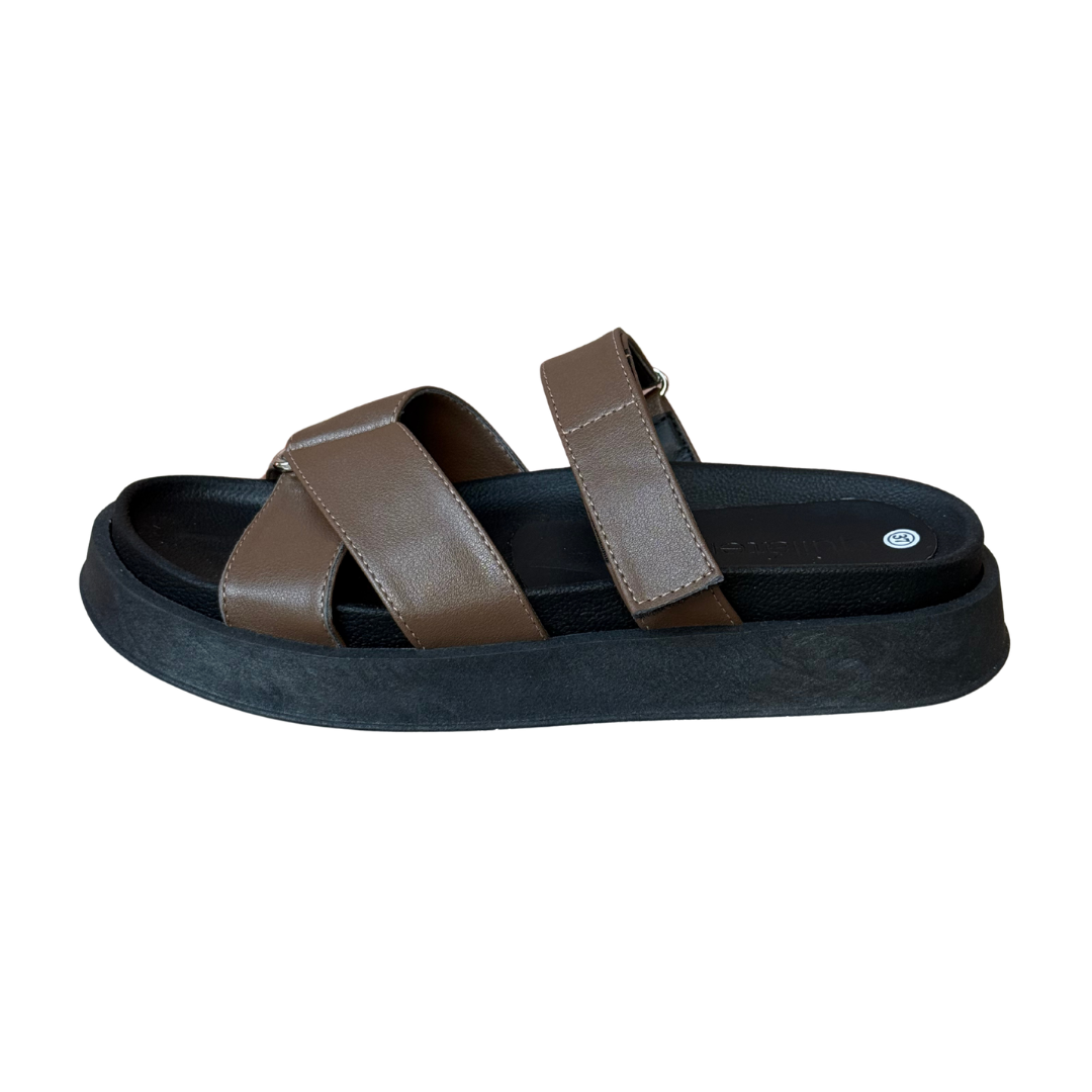 Arena / Brown